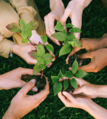 900 nouveaux arbres à Parme pour un avenir toujours plus vert